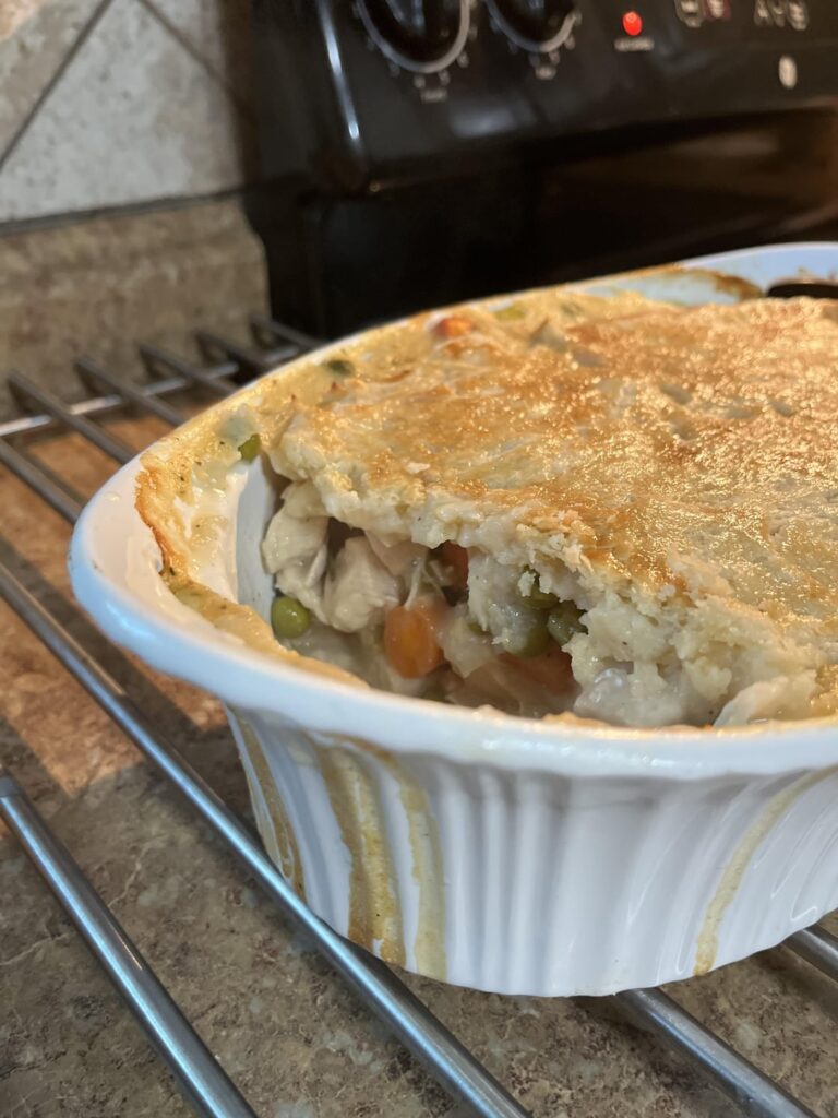 Chicken pot pie served with egg noodles 🐔
