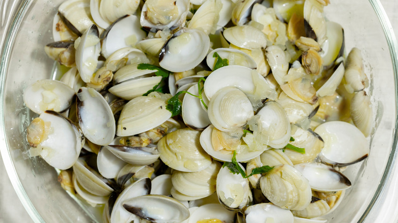 Bowl of clams with garlic and parsley