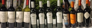 A few of the wines tasted at the Malbec Day Event