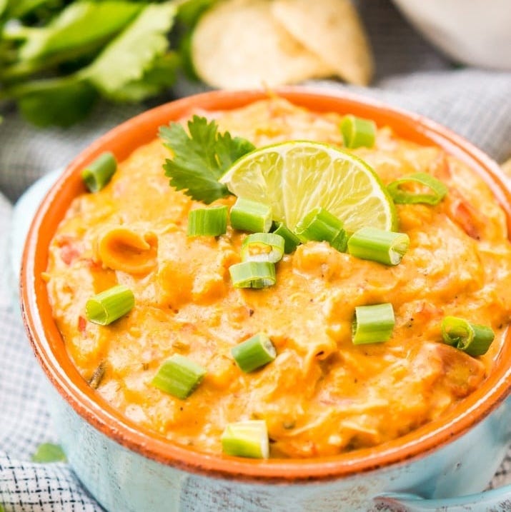 slow cooker chicken queso dip