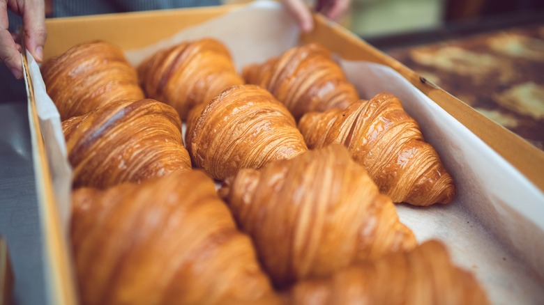 Box of croissants 