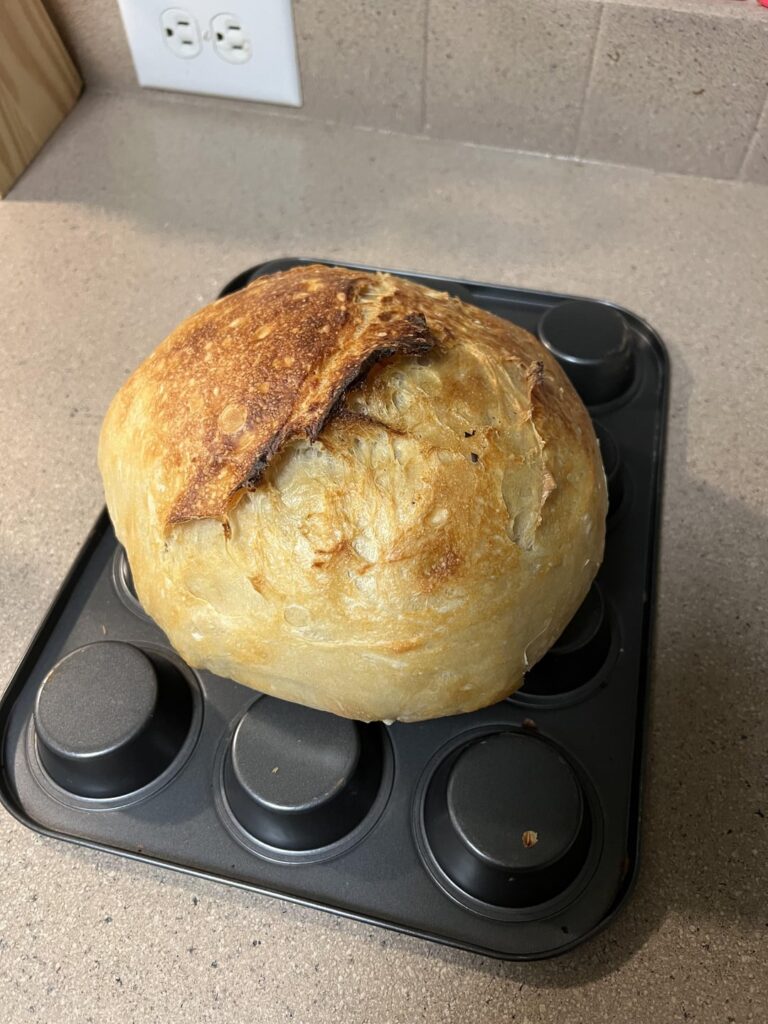 Sourdough Beginner Success!