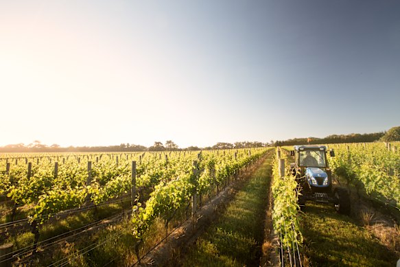 Ten Minutes by Tractor, Mornington Peninsula, Vic.