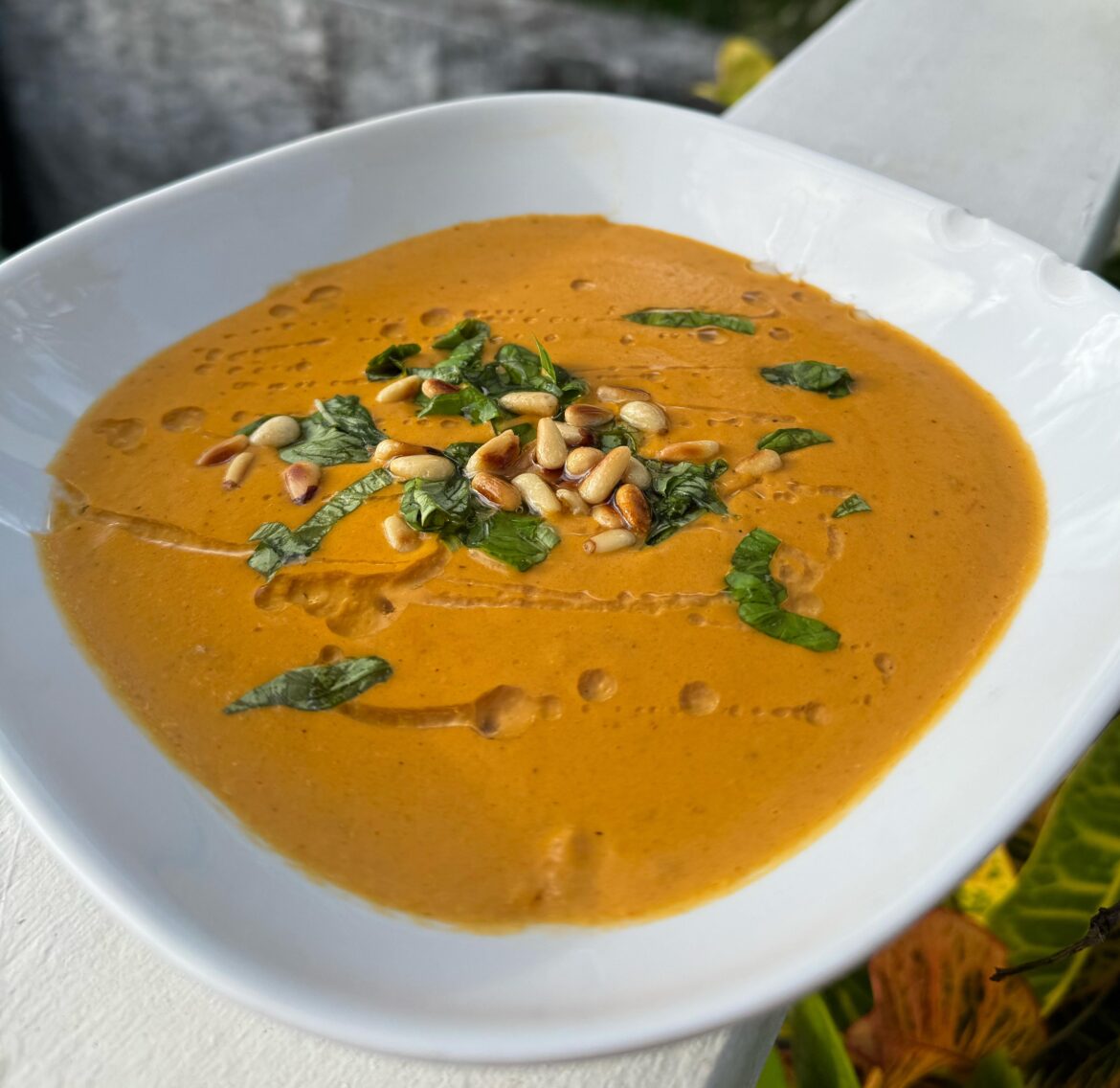 Creamy Tomato Basil Soup