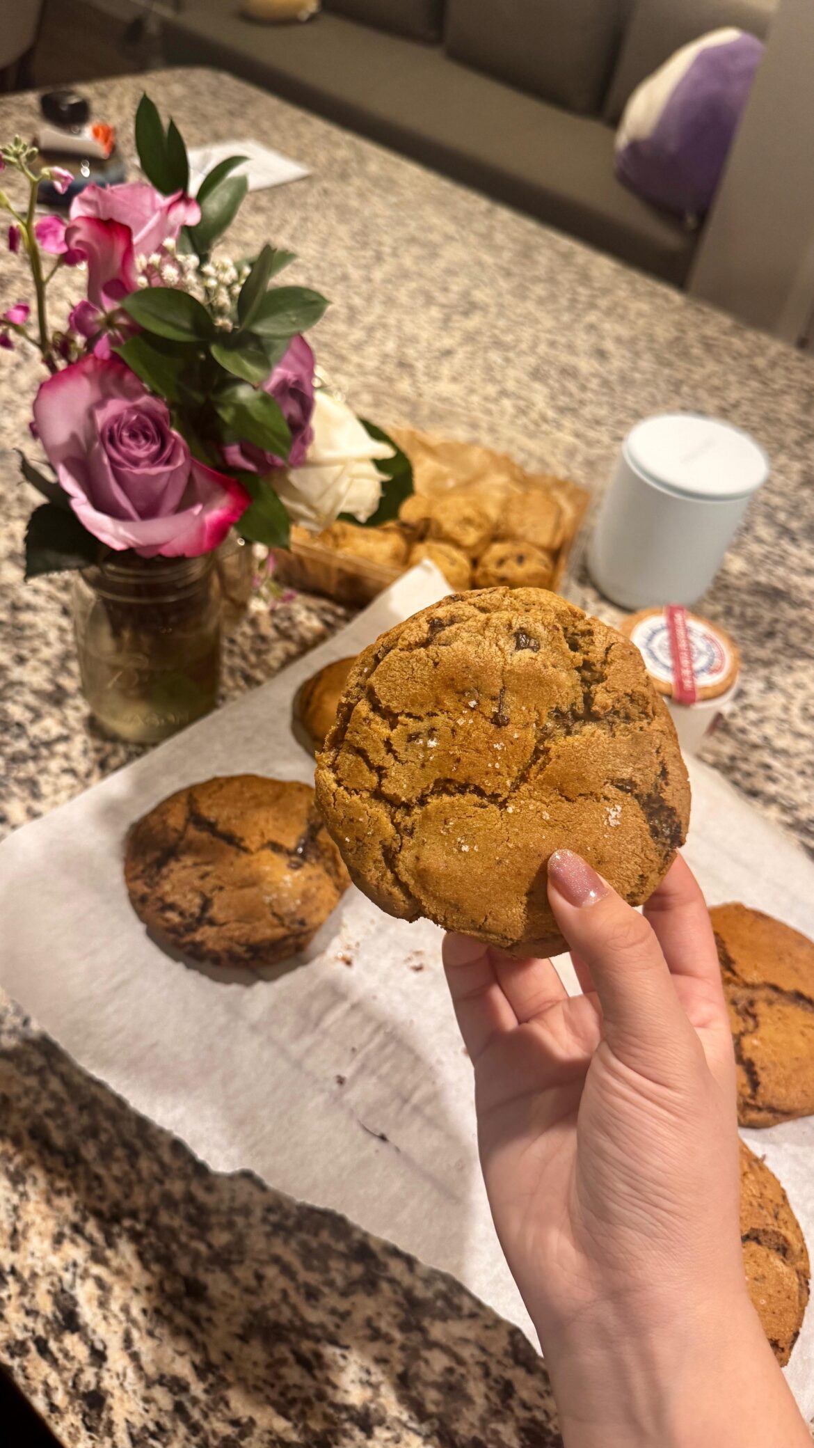 MY aunty made this chocolate chip cookies i hope you all like it last of all try it make in home