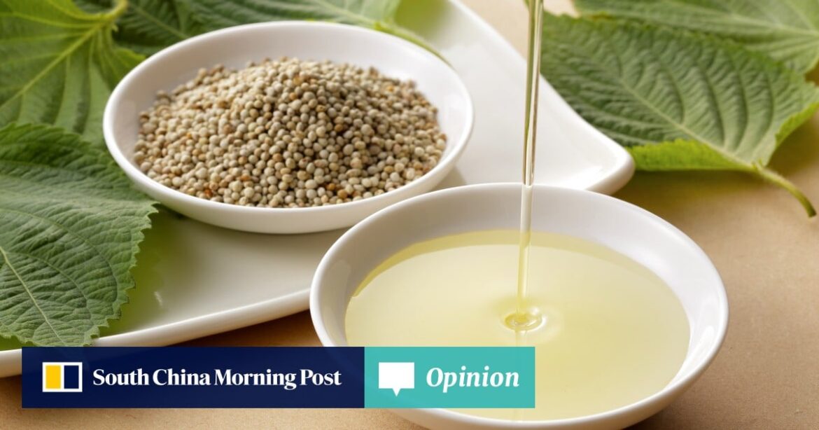 On the Menu | Why ‘Korea’s olive oil’, perilla seed oil, deserves to be trending around the world