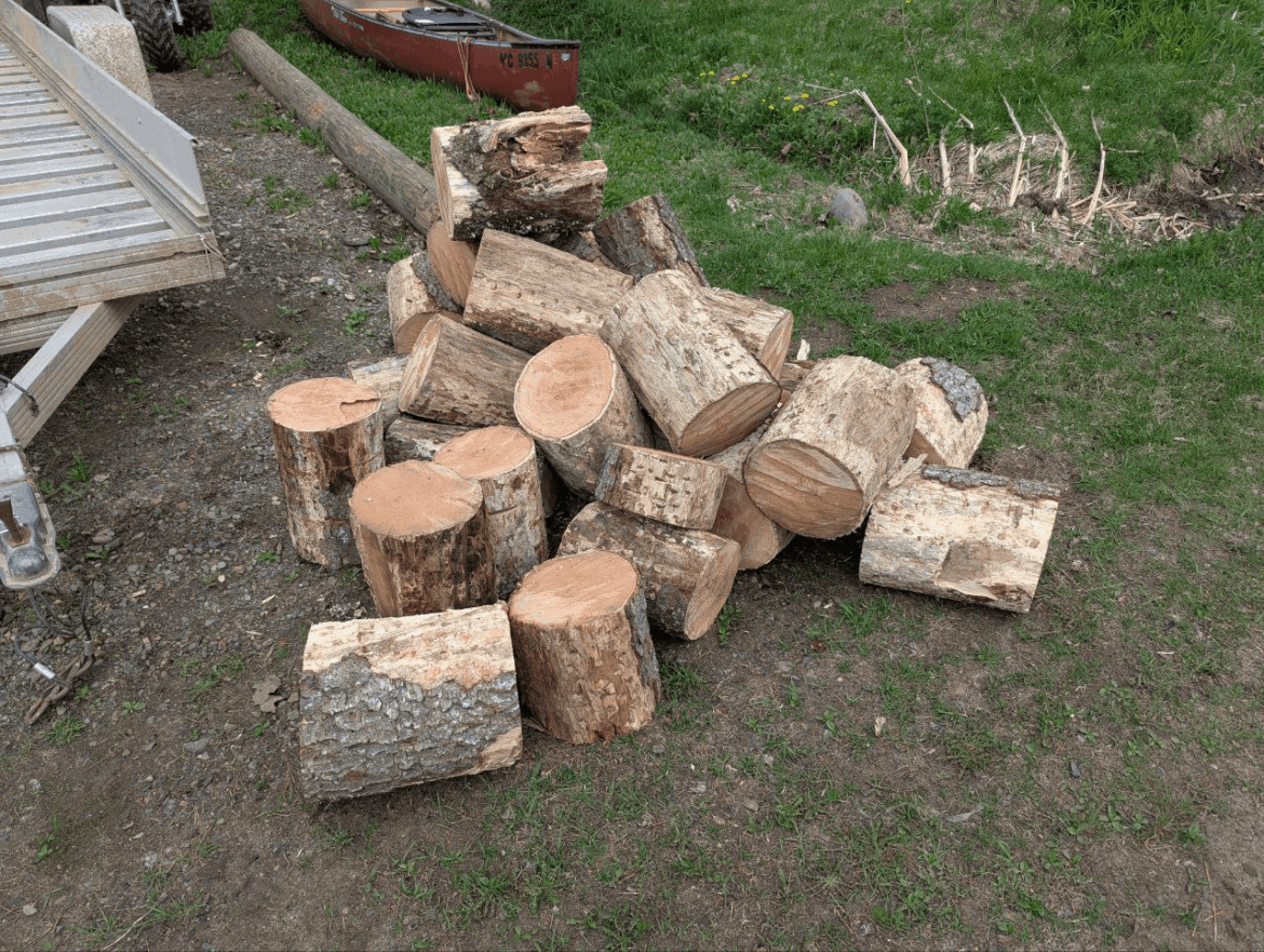 Befriend a logger - Woke up to this on my lawn. "Hey, I dropped off a bunch of Cherry for you. I have another load tomorrow if you want it."