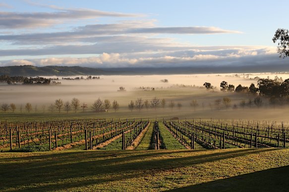 Mount Mary Vineyard, Yarra Valley, Vic.