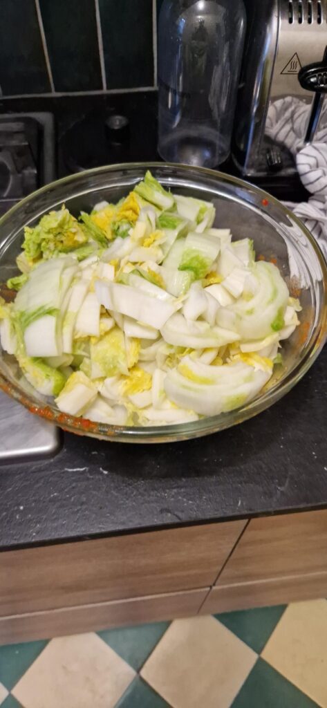 First time making kimchi