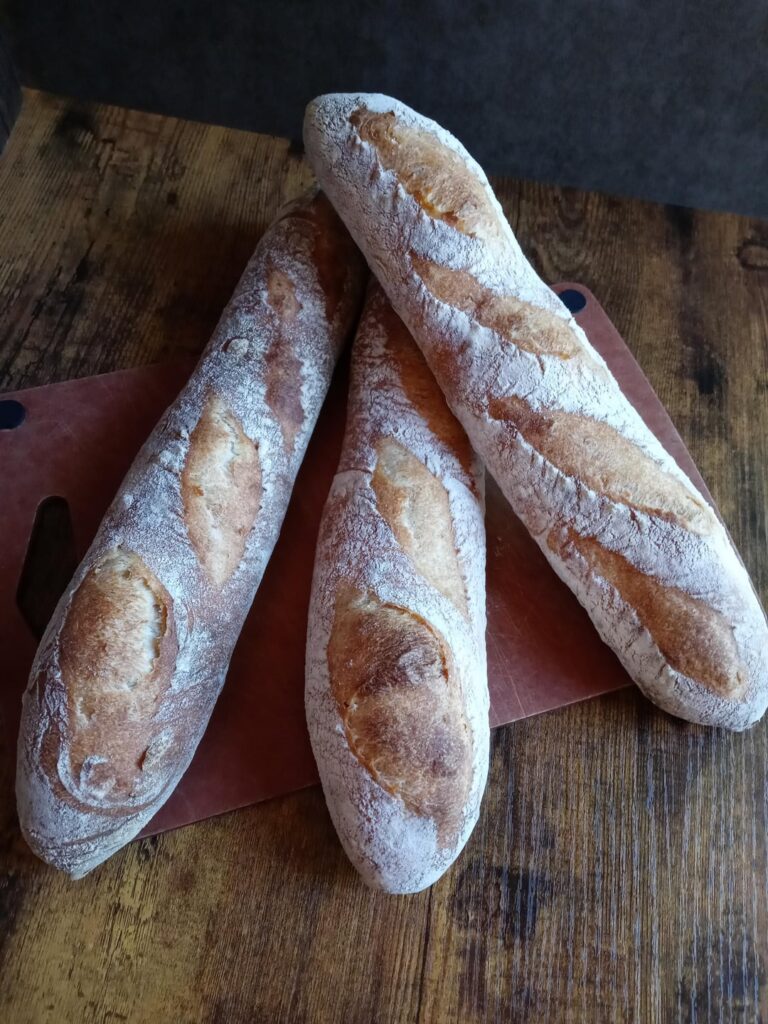 Tried to bake baguettes