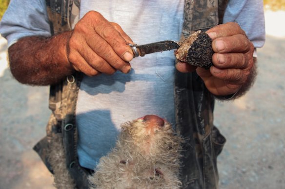 Giuseppe and his truffle dog Luna.
