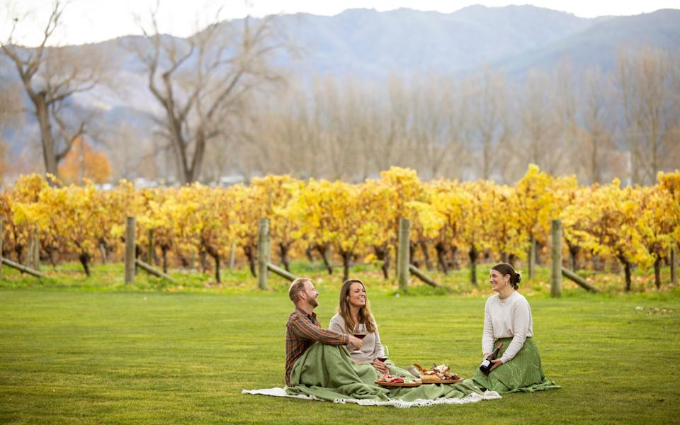 Blenheim in New Zealand