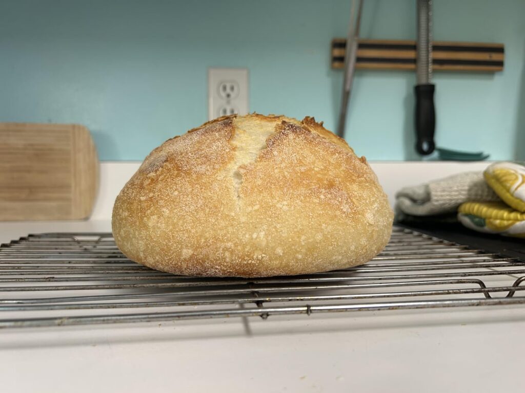 My first non-flat loaf!