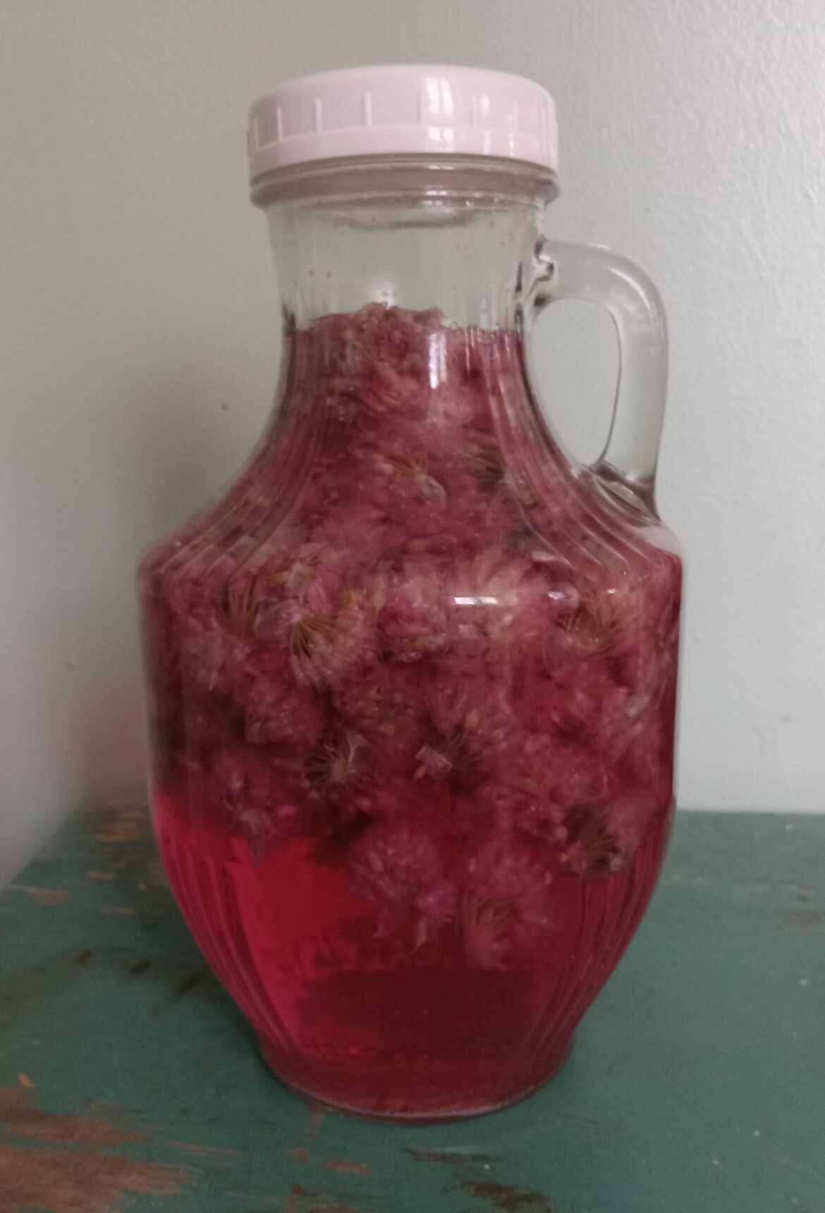 Chive blossom vinegar time