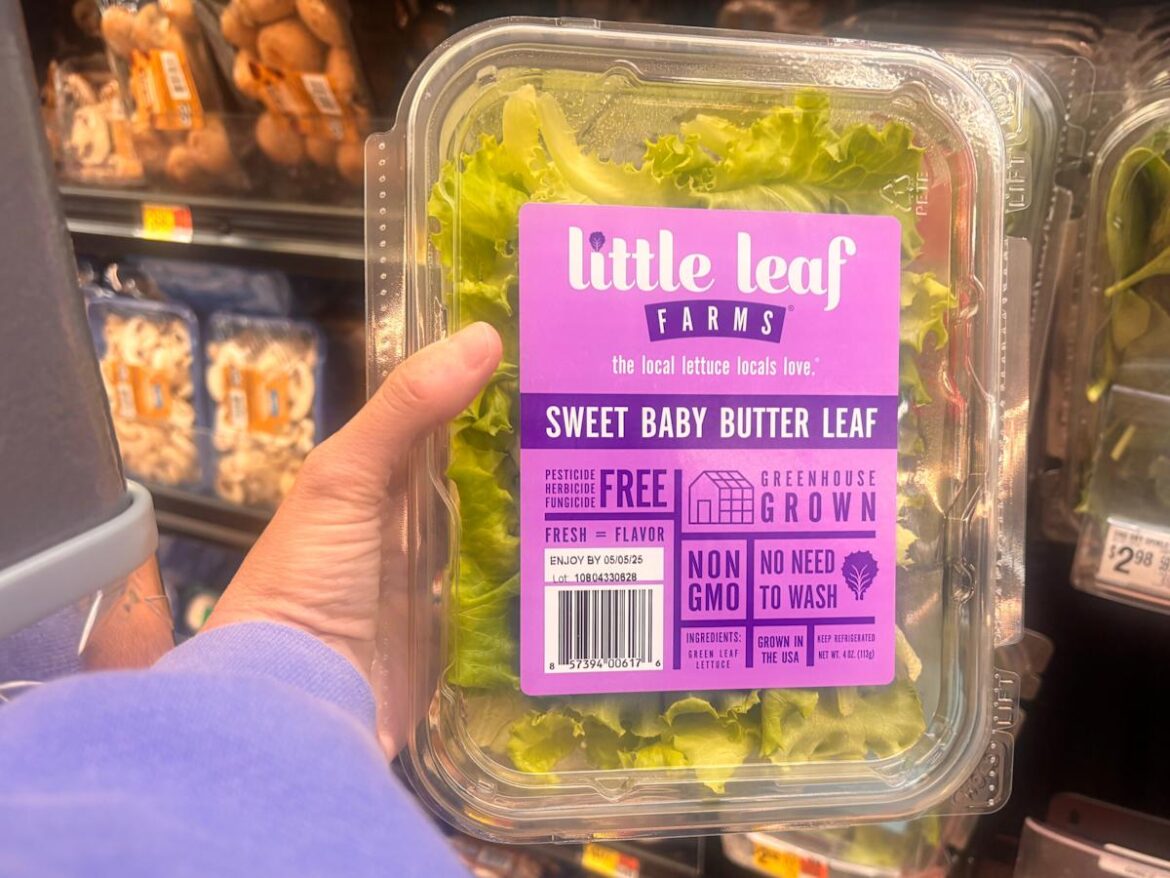 Yahoo lifestyle home