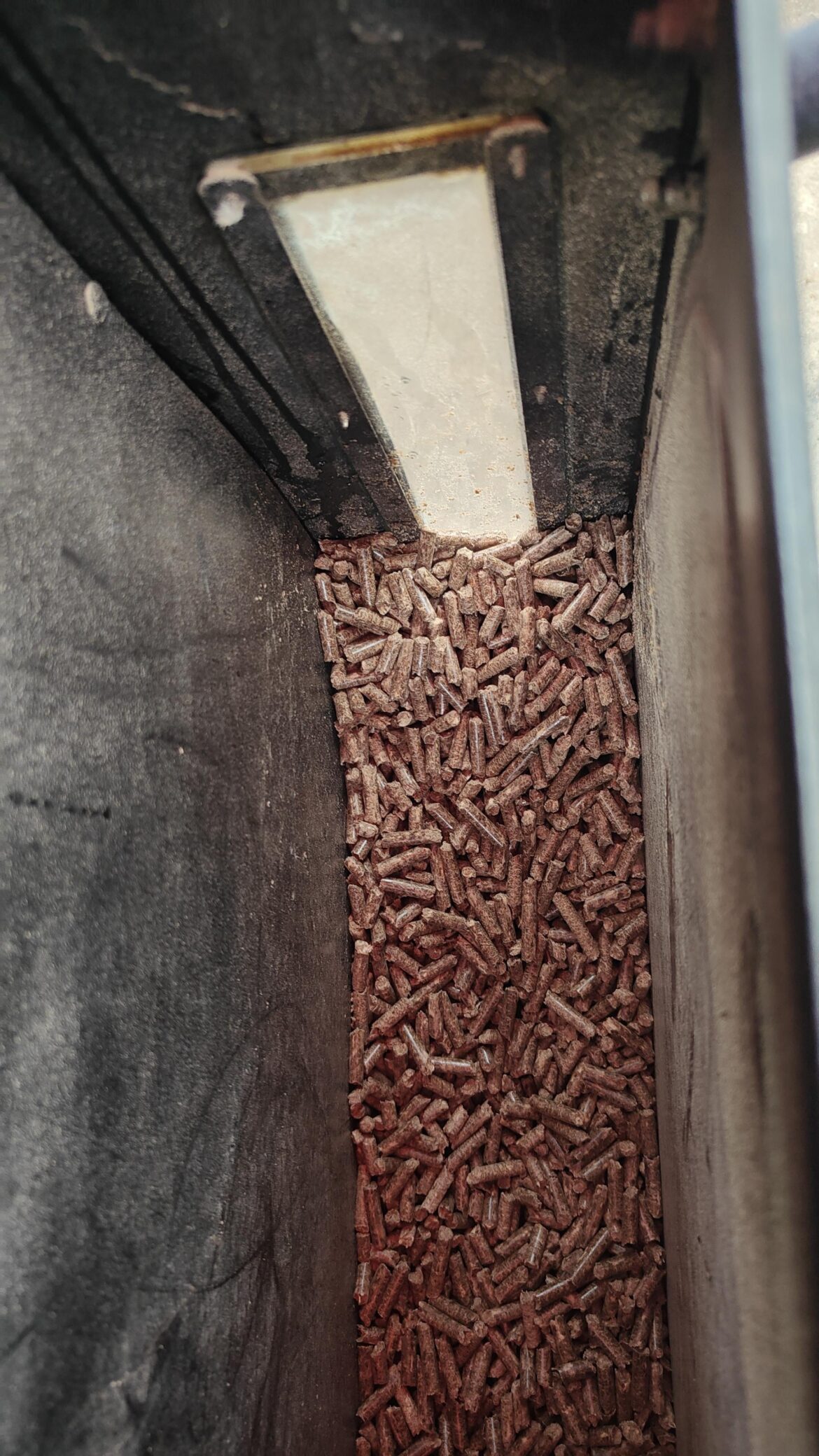 Cooking for Mother's day, pellets got a little wet.