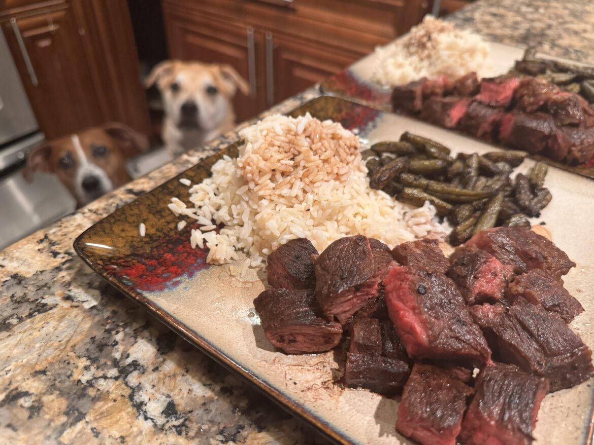 My pups reward dinner for chasing intruder out of the house :)