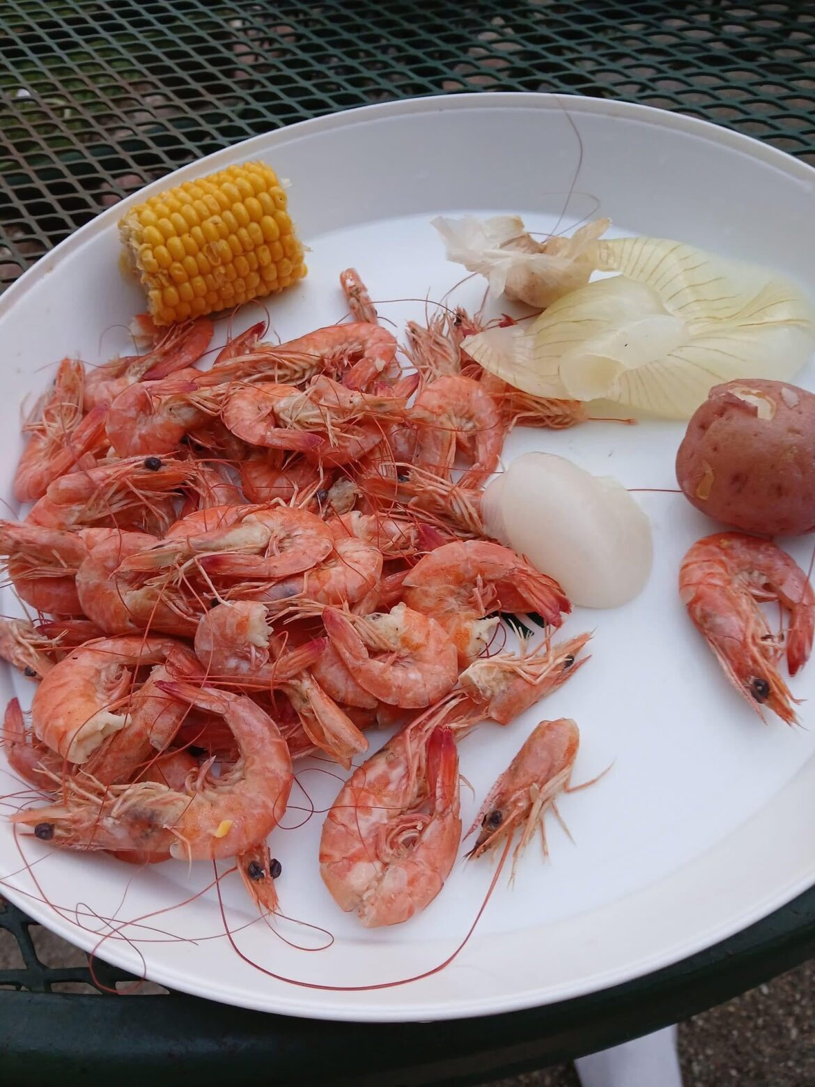 My friend’s dinner plate that he was proud enough to post. I can’t see any seasoning.
