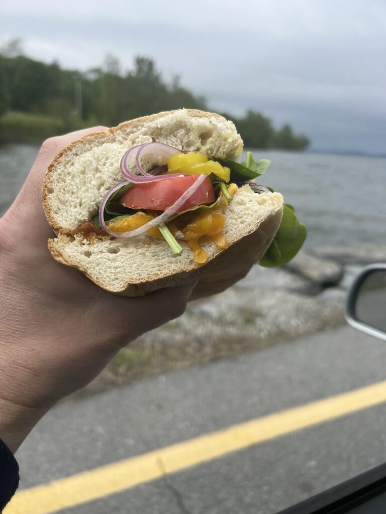 Got a chicken salad melt with bacon and ate it on a ferry! Got a chicken salad melt with bacon and ate it on a ferry!