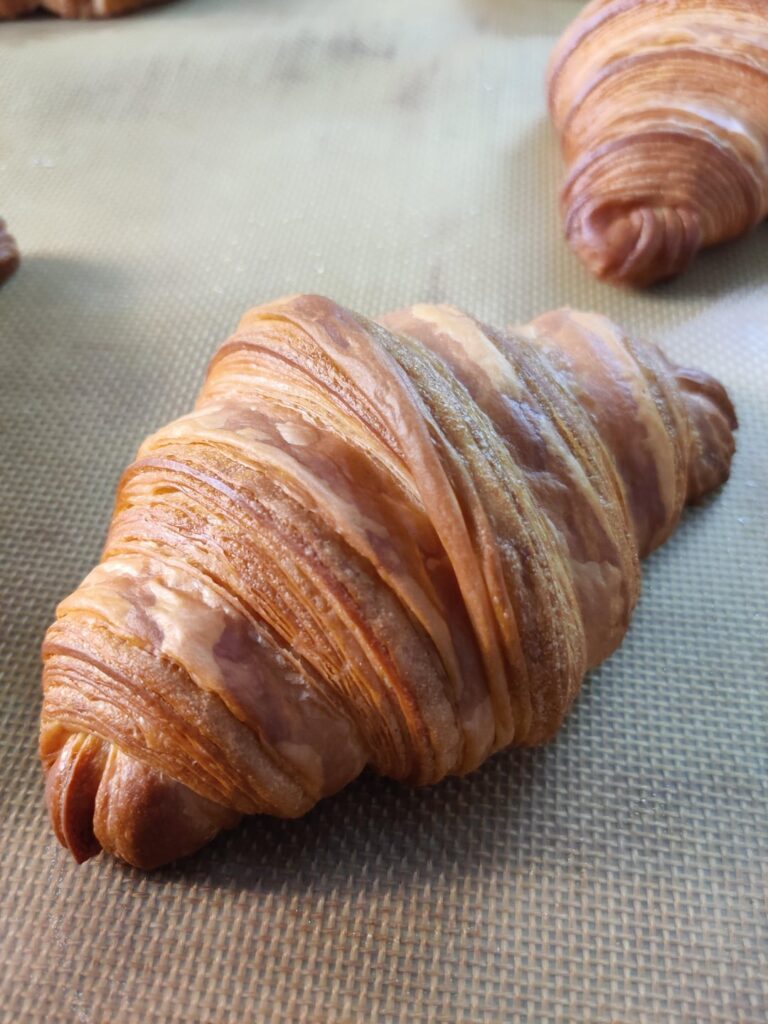 Croissant with AP flour and 82% fat butter