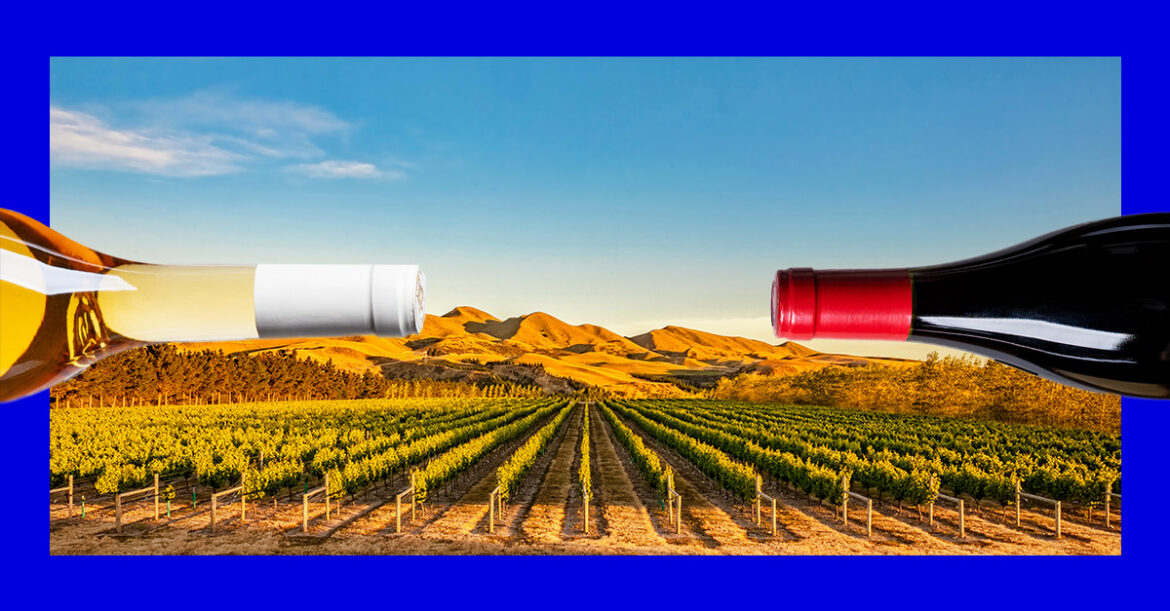 9 of the Best Pinot Noirs From New Zealand