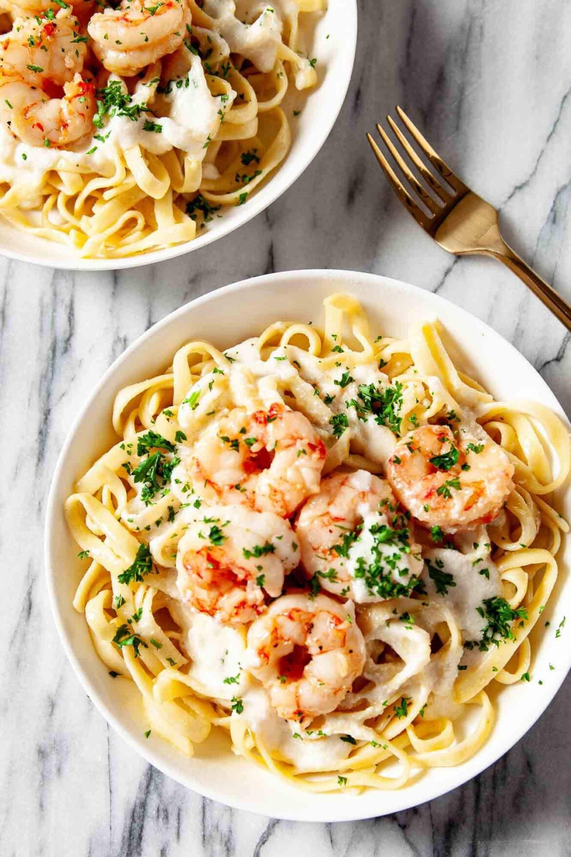 Shrimp Alfredo [oc]
