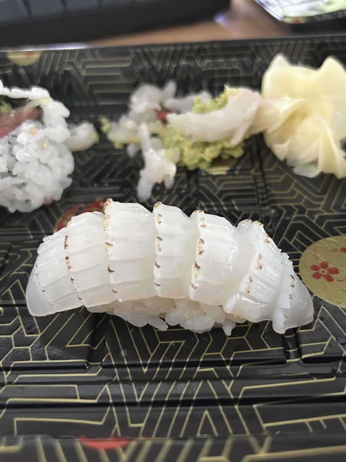 Hi any ideas what fish this is?