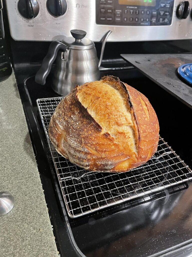 First sourdough in about a year