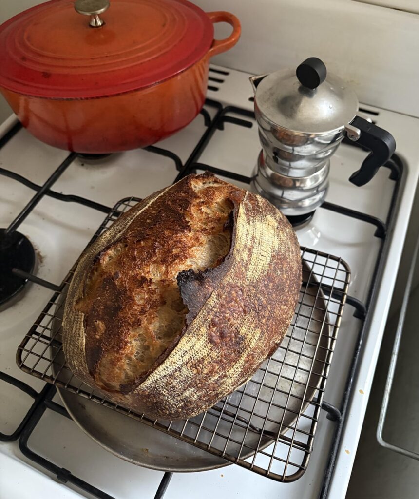 first rye, how did i do? first rye, how did i do?