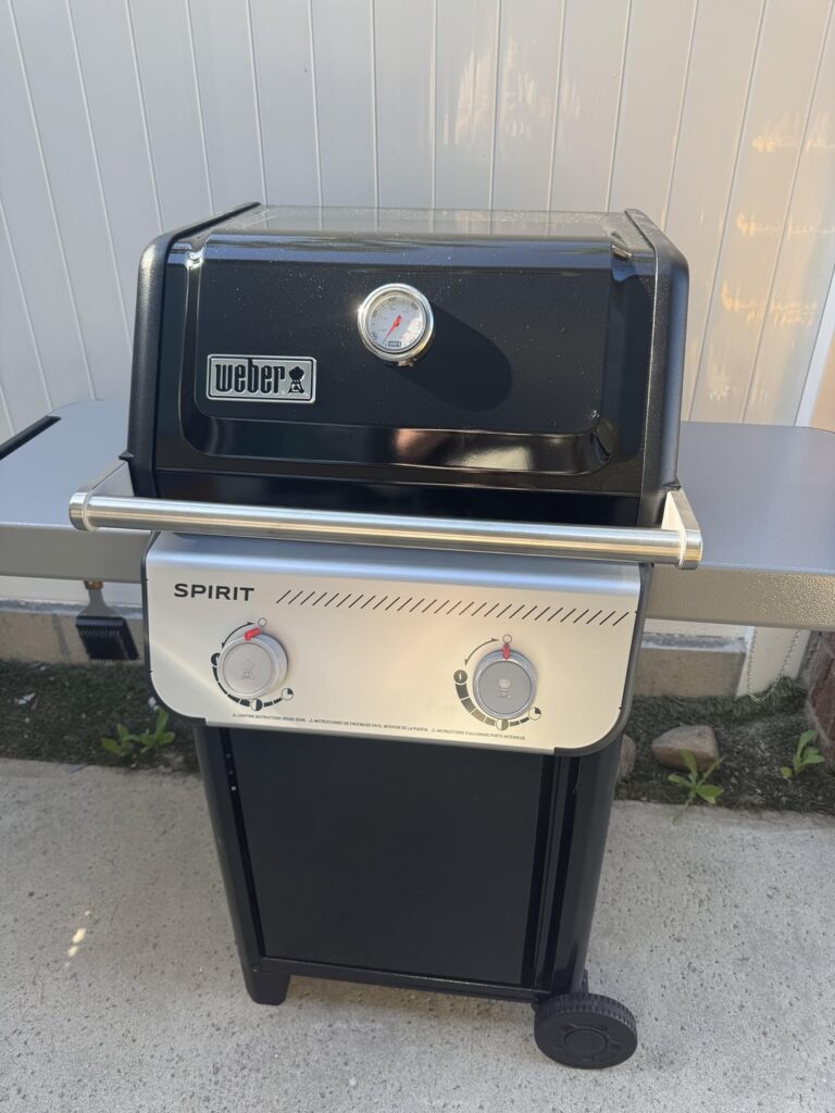 Hit 1000 days sober and celebrated by buying my first grill!