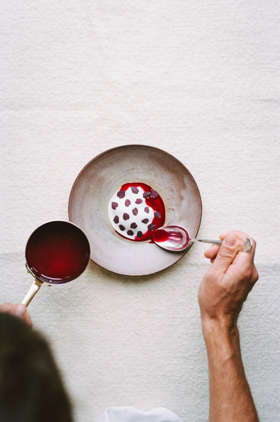 hugo roellinger Anne Claire Heraud crapaudine 1