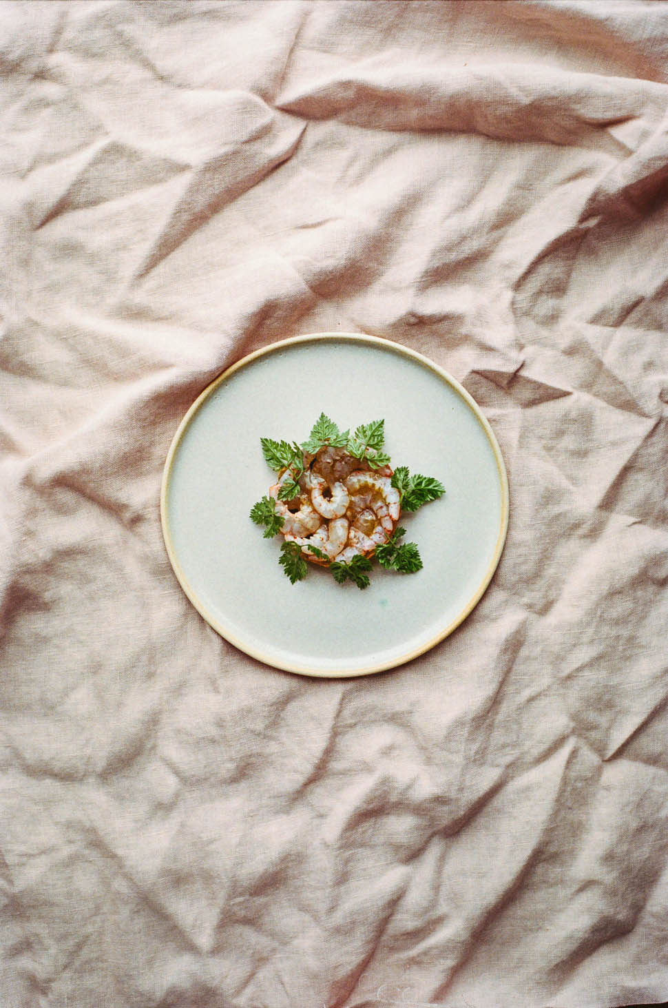 hugo roellinger Anne Claire Heraud crapaudine 2