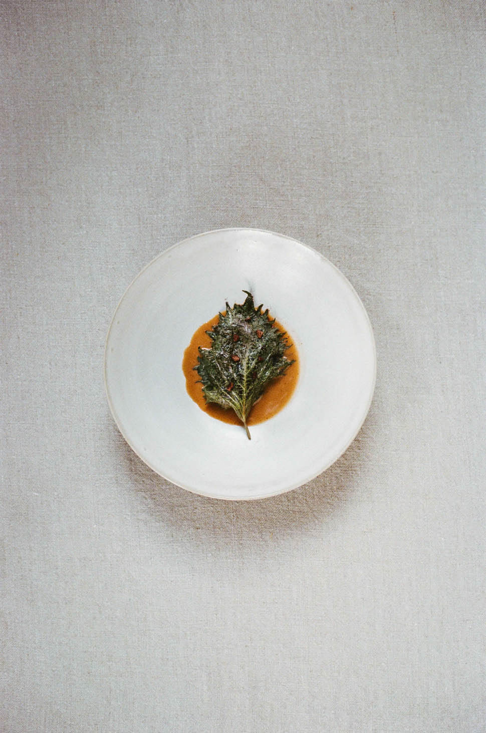 hugo roellinger HOMARD AU CACAO ROMAIN BASSENNE