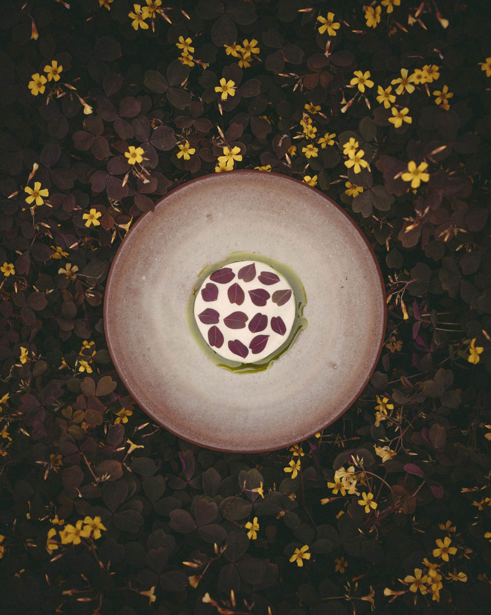 hugo roellinger Romain Bassenne Crapaudine