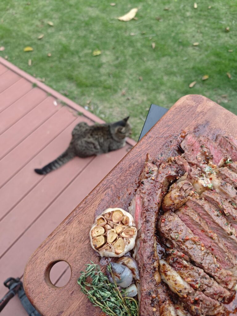 My kitty has amazing self-control and isn't tempted by food at all! I can't hold back anymore—I'm diving in!