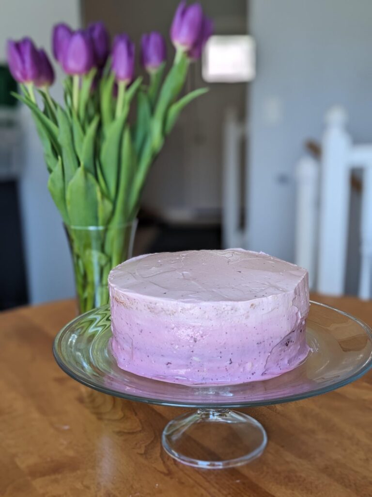 A purple blueberry cake per my 2 year olds request for her birthday cake