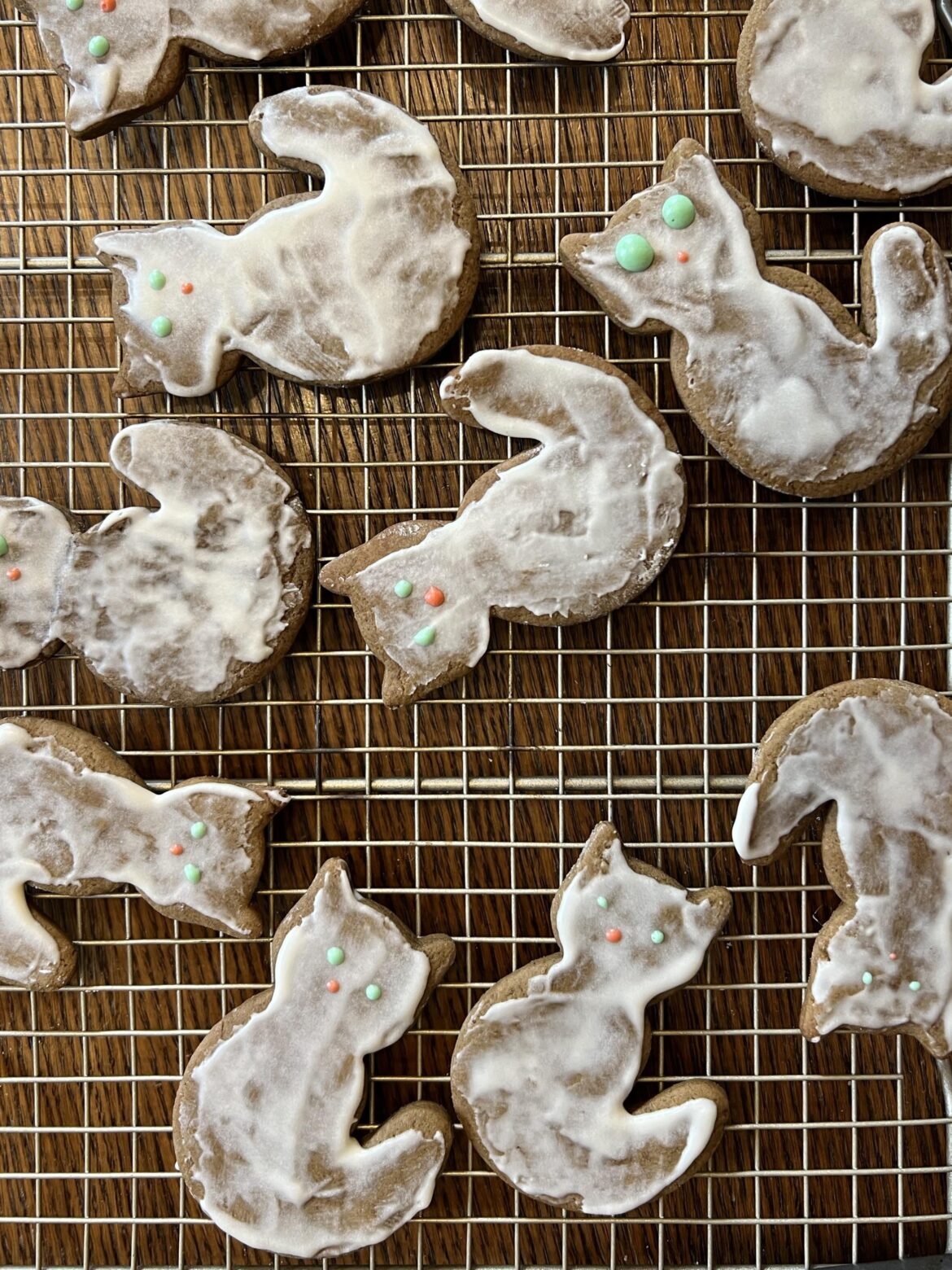 Gingerbread Cats