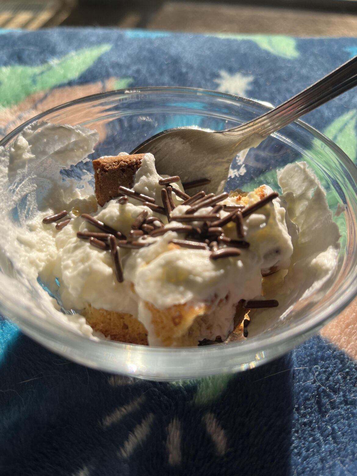 Update on the homemade whipped cream dessert. I crushed up those cookies and put a doll up of the cream and chocolate jimmies.