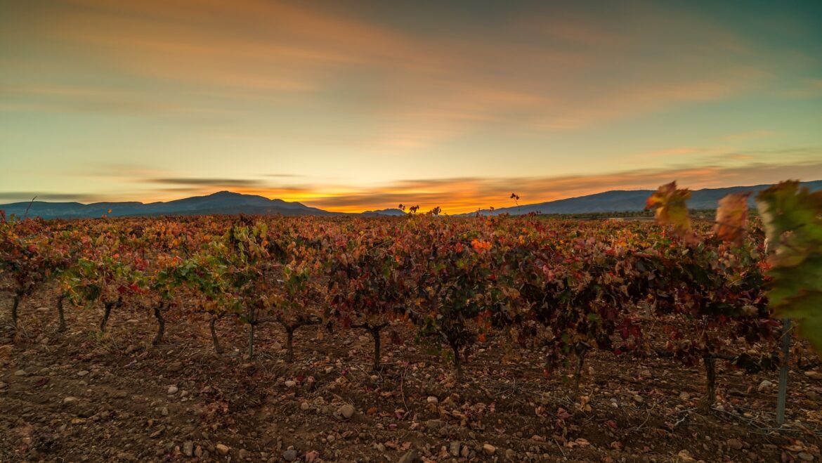 This shift signals broader agricultural challenges.