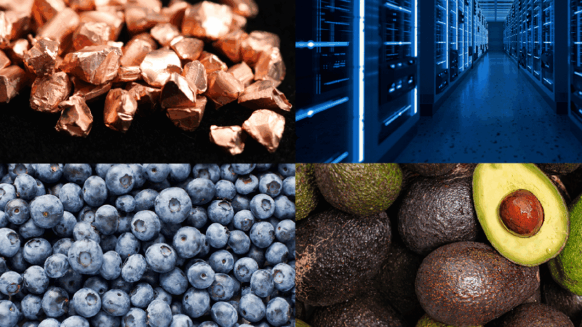 New record figure: Chilean exports exceeded US$ 10.4 billion in January Foto Subrei