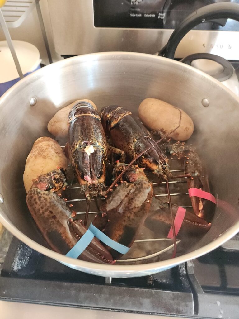 Was I right to keep the rubber bands on while steaming?