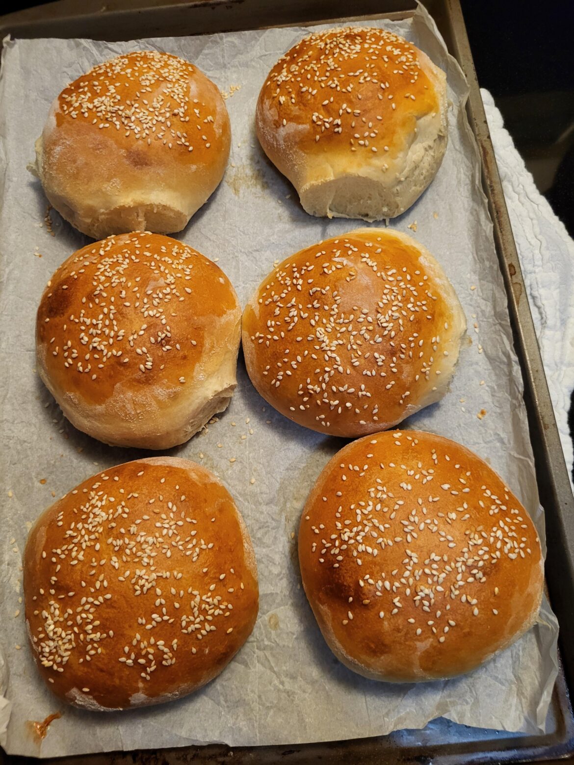 Just Buns...Nothing but the Buns