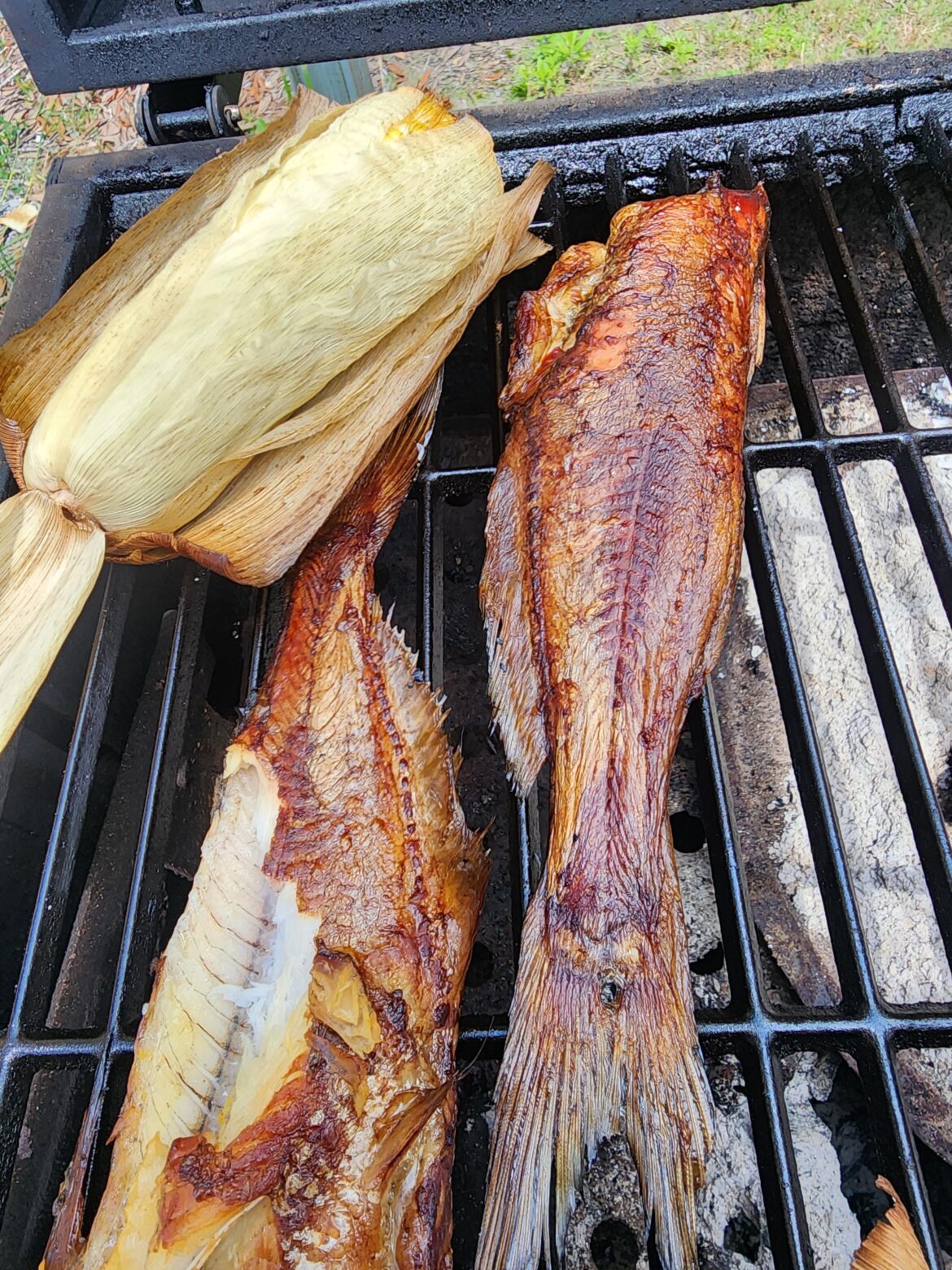 Smoked some catfish today. :) Smoked some catfish today. :)
