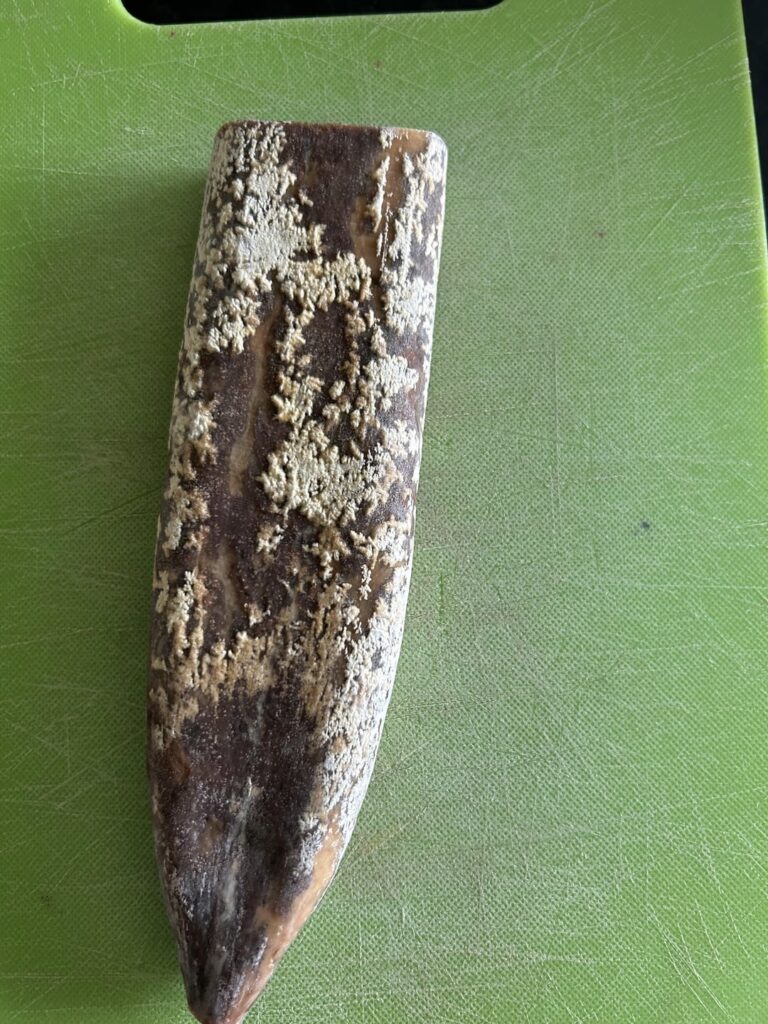 Is this safe to eat? (Mold on a cured meat)