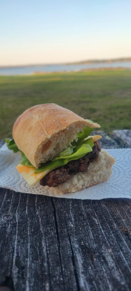 Picnic cheeseburger