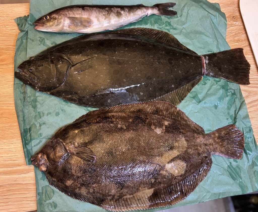 Making a freshest bowl