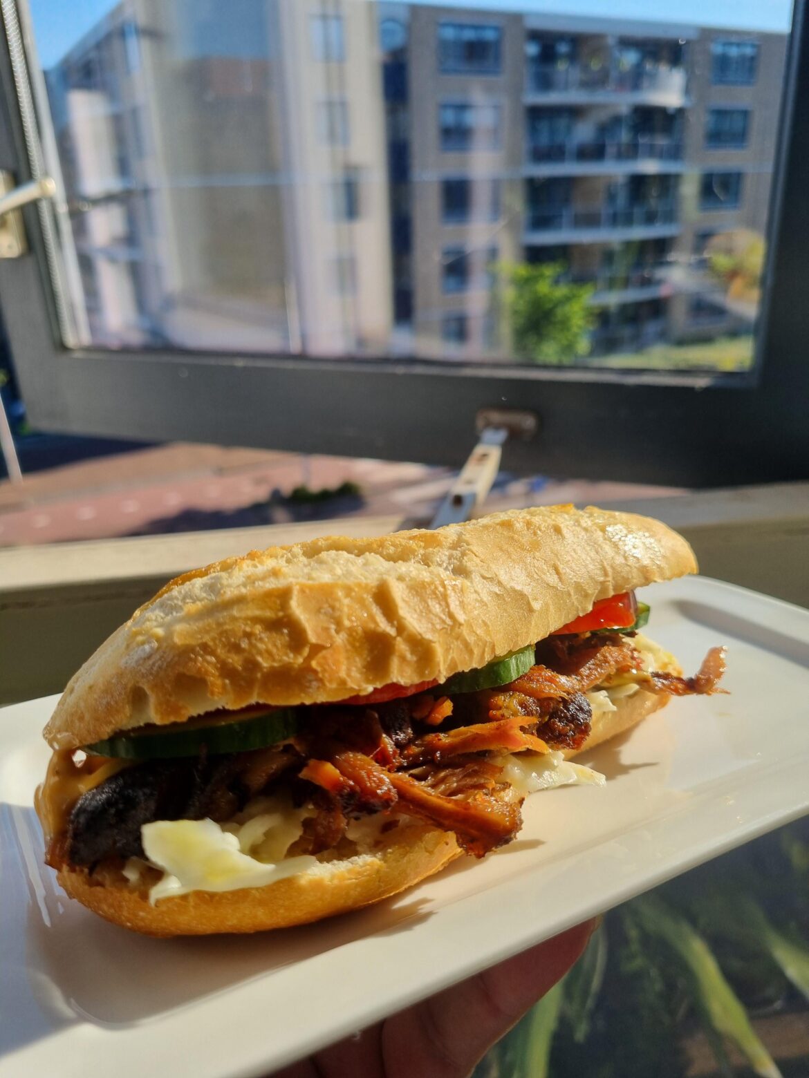 Slow smoked ribs with veggies mayo and bbq sauce on a pistolet