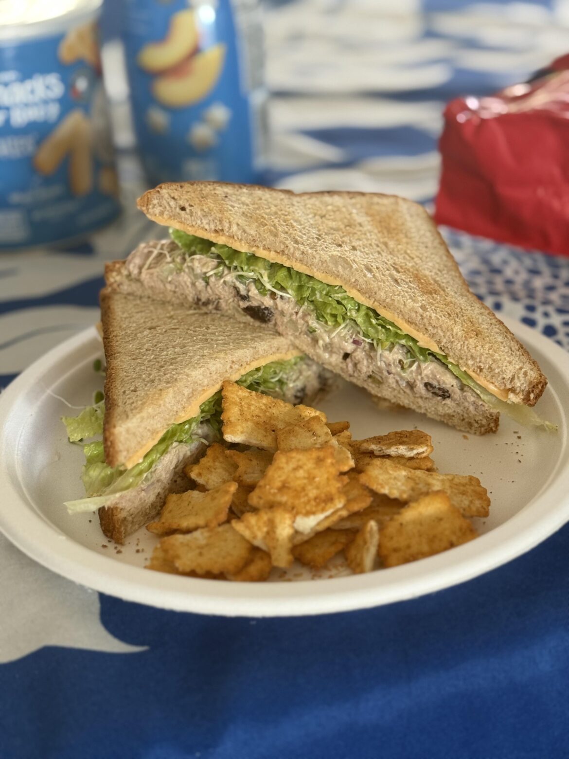 Home made tuna sandwich