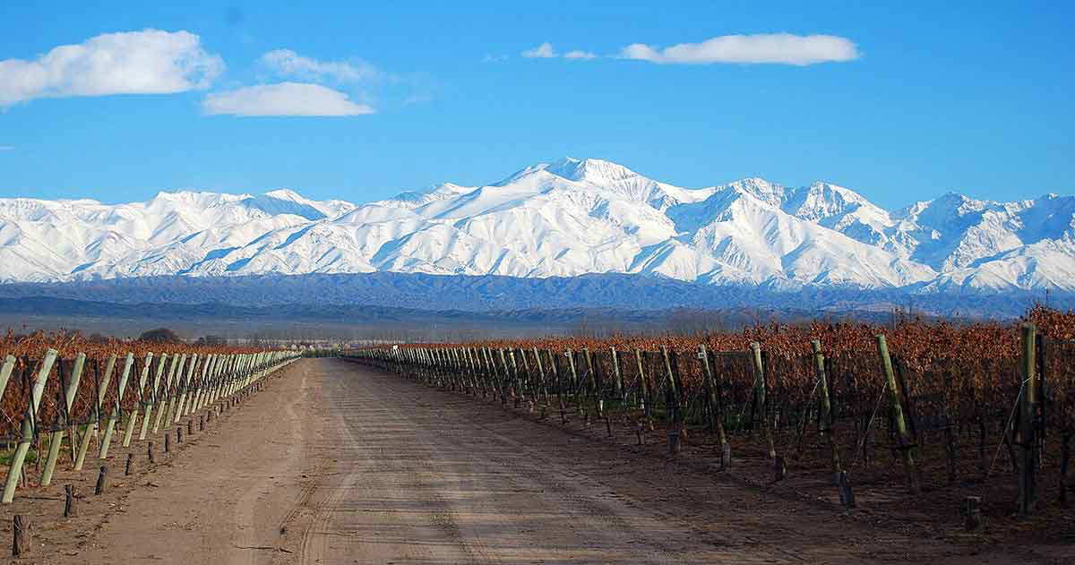 mendoza winery view argentina