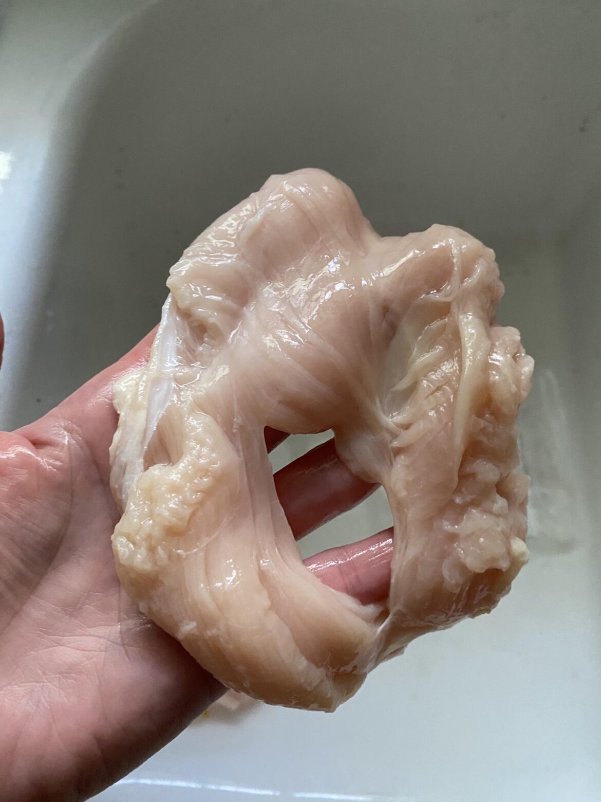 Chicken looking questionable?